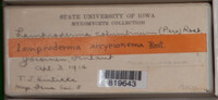 Image Associated With the Occurence